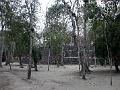 0704 calakmul 10